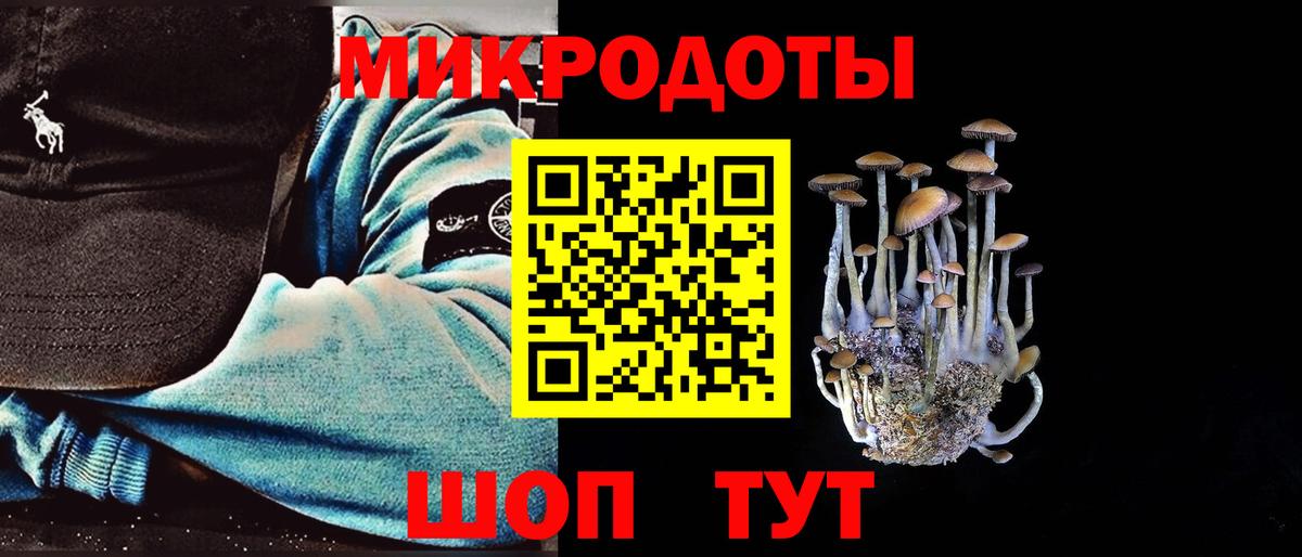 Галлюциногенные грибы Psilocybe Дивногорск