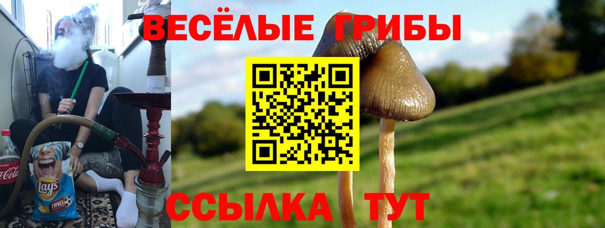 Дивногорск  Псилоцибиновые грибы Magic Shrooms  Вход с VPN 