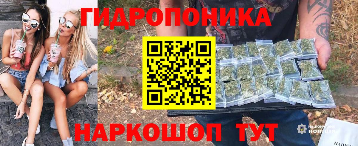 Бошки марихуана Amnesia  МАРИХУАНА White Widow  Дивногорск  Конопля сатива 